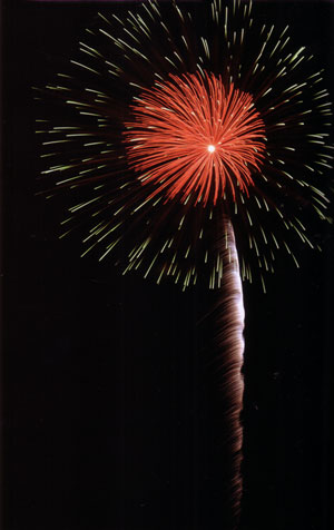 การถ่ายพลุ