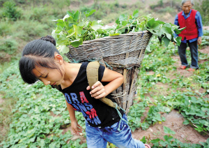 เผยชีวิตสาวน้อยจีนหัวใจแกร่ง ใฝ่เรียนแม้ฐานะยากจน