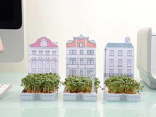 Postcarden โปสการ์ดที่ย่อสวนสวยมาไว้บนกระดาษ