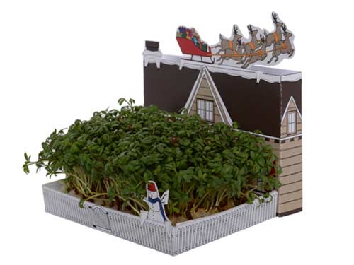 Postcarden โปสการ์ดที่ย่อสวนสวยมาไว้บนกระดาษ