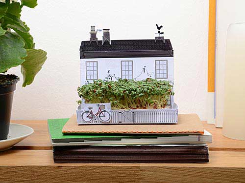 Postcarden โปสการ์ดที่ย่อสวนสวยมาไว้บนกระดาษ