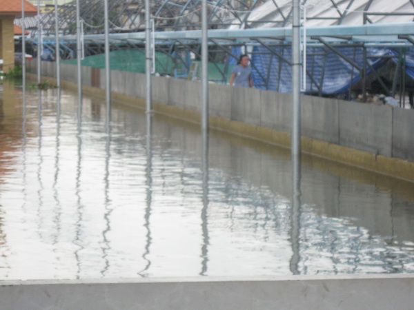 น้ำท่วมปทุมธานี