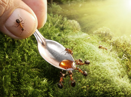 A Bug's Life07