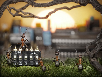 A Bug's Life02