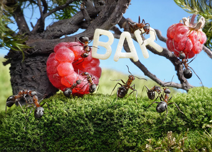 A Bug's Life12