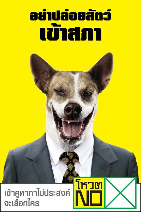 เลือกตั้ง  2554 กกต. สั่งปลดป้ายโหวตโน อ้างผิดข้อกำหนดเลือกตั้ง