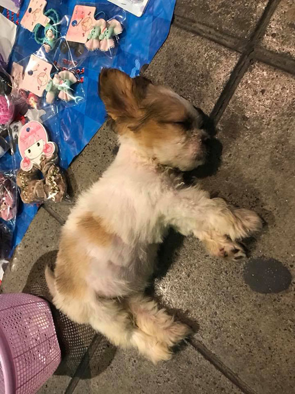 ค้ามนุษย์