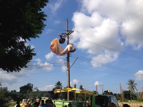 นักกีฬาหญิงร่อนพารามอเตอร์ติดเสาไฟฟ้าแรงสูง-ถูกช็อต กู้ภัยช่วยระทึก