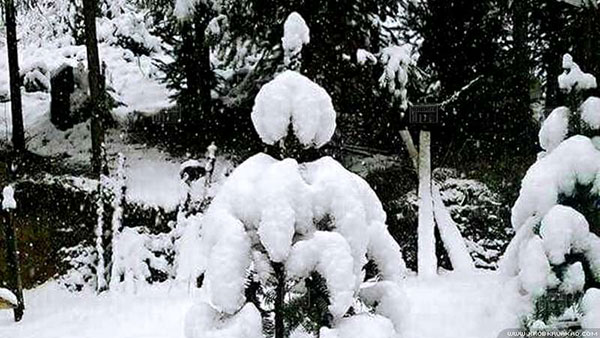 เมืองกะฉิ่นของพม่า หิมะตกหนักในรอบ 50 ปี