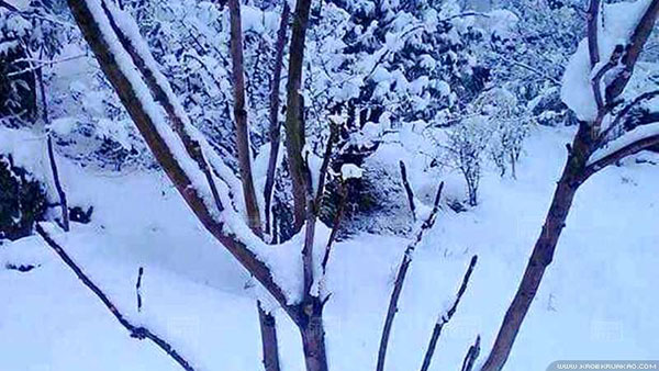 เมืองกะฉิ่นของพม่า หิมะตกหนักในรอบ 50 ปี