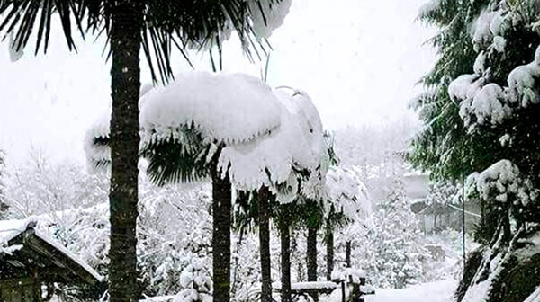 เมืองกะฉิ่นของพม่า หิมะตกหนักในรอบ 50 ปี