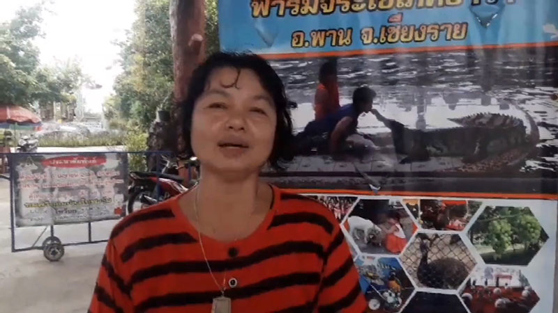 จระเข้กัดคน