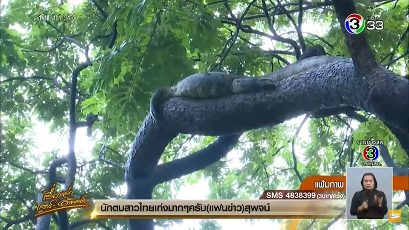 ตัวเงินตัวทองที่สวนลุมพินี