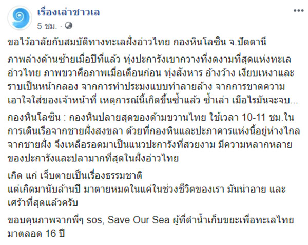 ปะการังเขากวาง