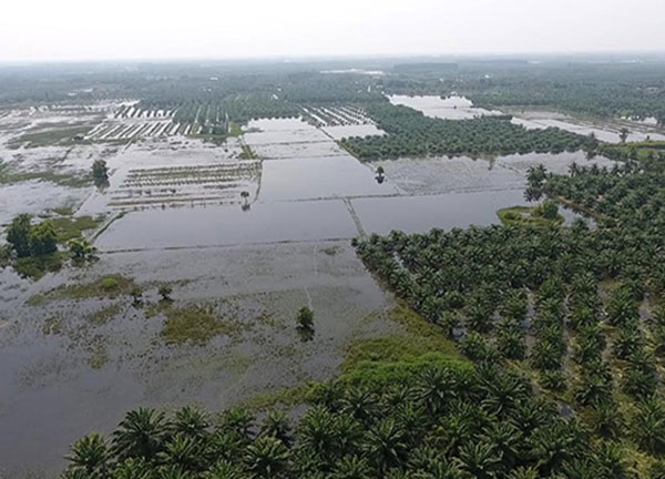 จระเข้สวนสัตว์ทุ่งท่าลาดหลุด