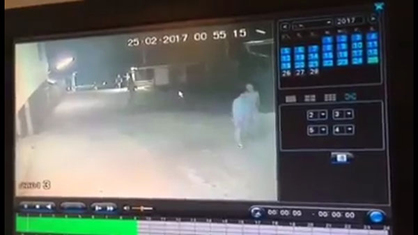 ไขขวงแทงหัว