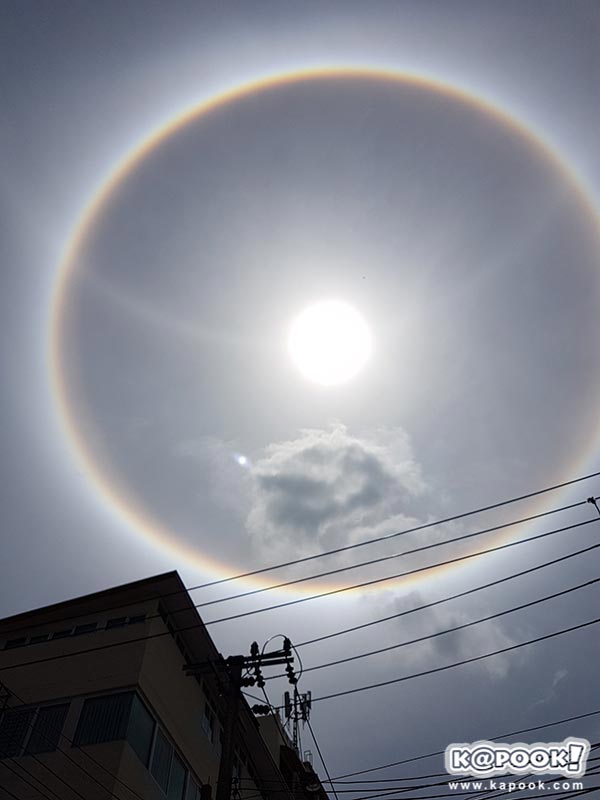 พระอาทิตย์ทรงกลด