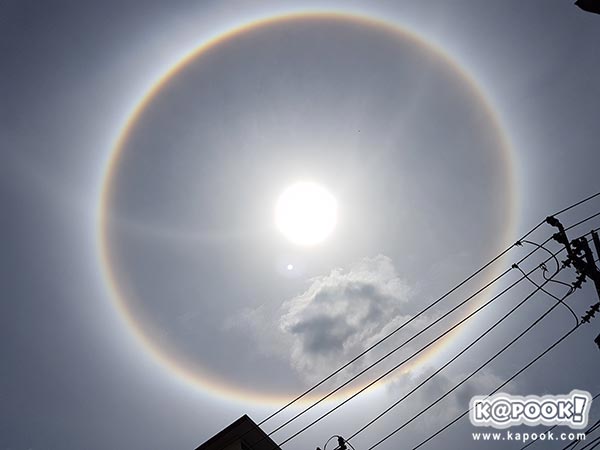 พระอาทิตย์ทรงกลด