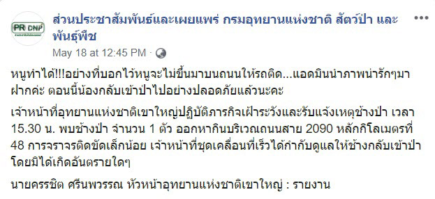 ช้างป่า