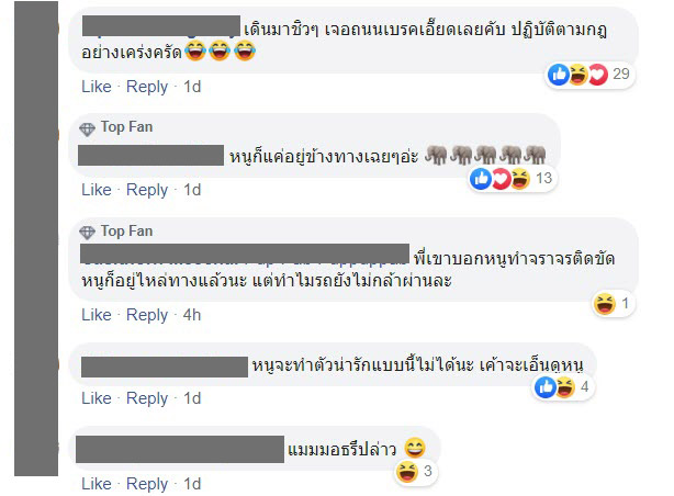 ช้างป่า