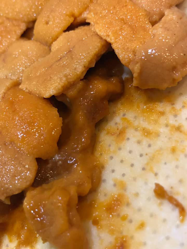 แพ้ไข่หอยเม่น