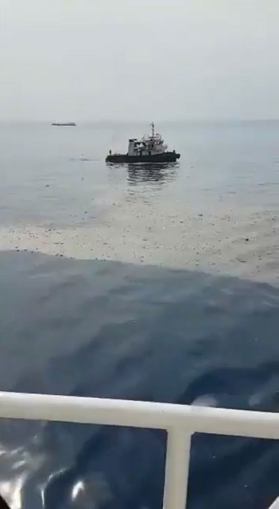 เครื่องบินตกที่อินโดนีเซีย