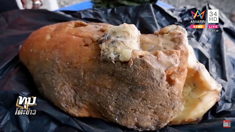 อำพันทะเล