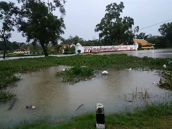 จระเข้สวนสัตว์ทุ่งท่าลาดหลุด