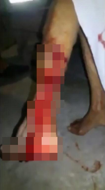 งูเหลือมรัดแม่ชี