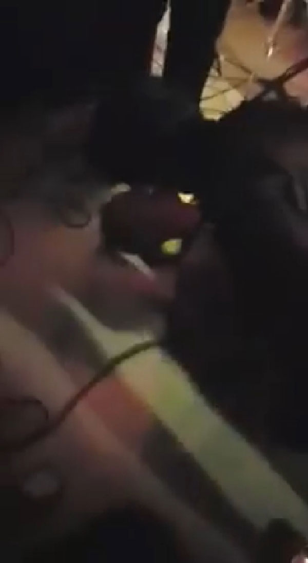 โจ บอยสเก๊าท์