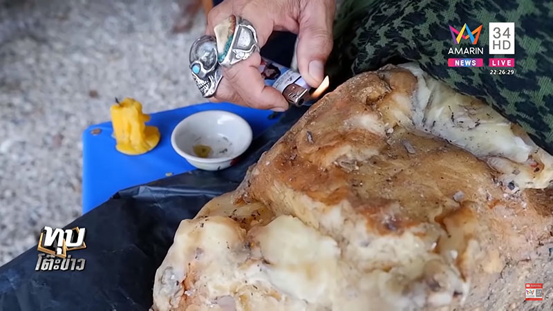 อำพันทะเล