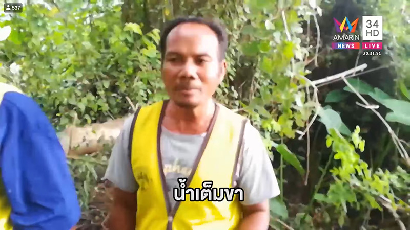 ข่มขืนวัว