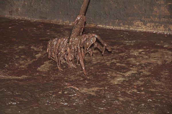 บุกทลายโรงต้มปลาร้า