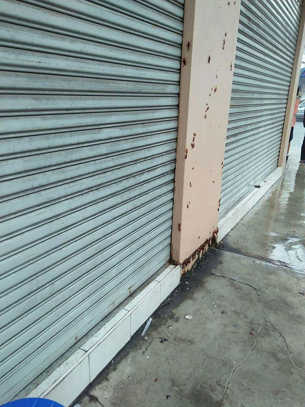 แมลงสาบในร้านก๋วยเตี๋ยว