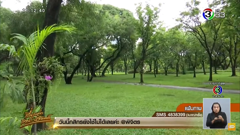 ตัวเงินตัวทองที่สวนลุมพินี