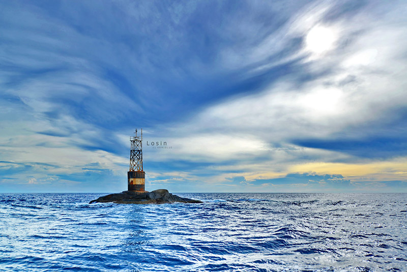 ปะการังเขากวาง