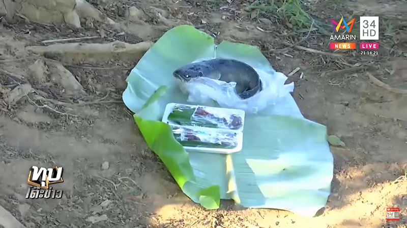 เด็กพม่าหายตัวในไร่อ้อย