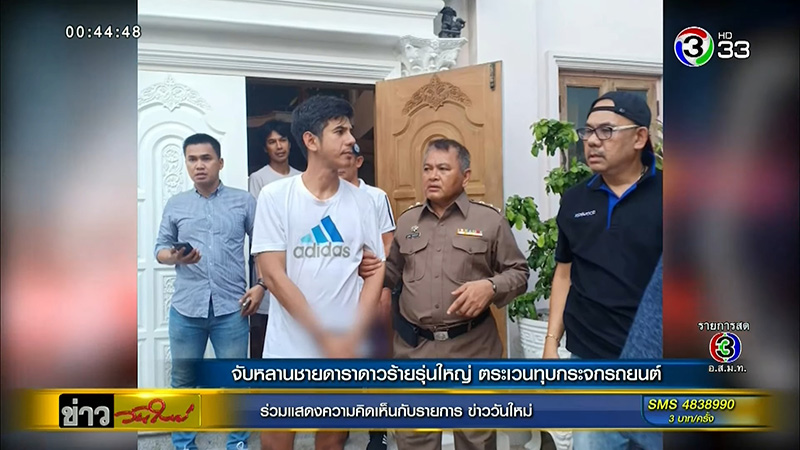 หลานดาราลักทรัพย์