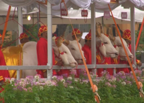 พระราชพิธีพืชมงคลจรดพระนังคัลแรกนาขวัญ ลุ้นคำเสี่ยงทายพระโค 2558