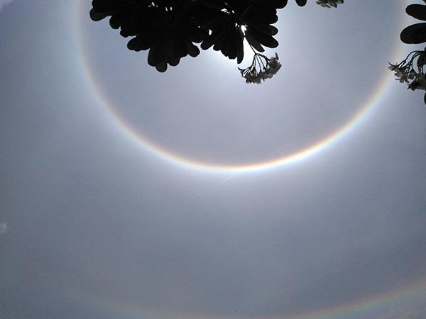 พระอาทิตย์ทรงกลด