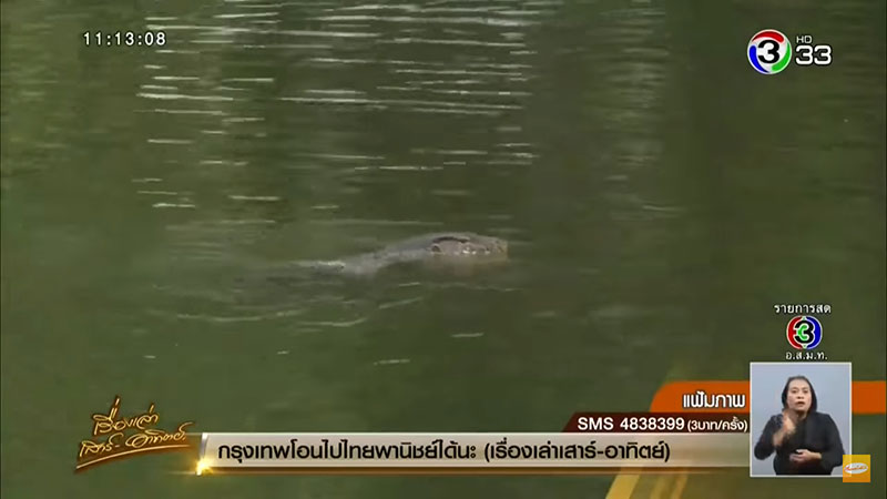 ตัวเงินตัวทองที่สวนลุมพินี