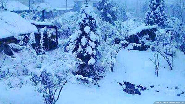 เมืองกะฉิ่นของพม่า หิมะตกหนักในรอบ 50 ปี