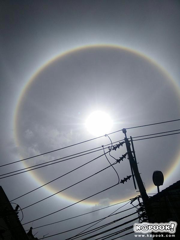 พระอาทิตย์ทรงกลด