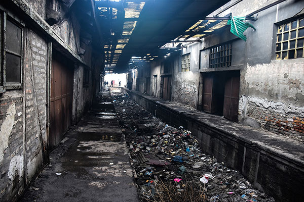 เด็กผู้อพยพในเซอร์เบีย