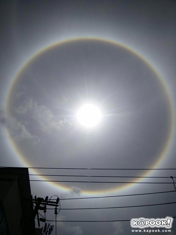 พระอาทิตย์ทรงกลด