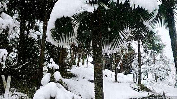 เมืองกะฉิ่นของพม่า หิมะตกหนักในรอบ 50 ปี