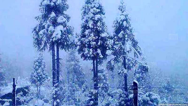 เมืองกะฉิ่นของพม่า หิมะตกหนักในรอบ 50 ปี