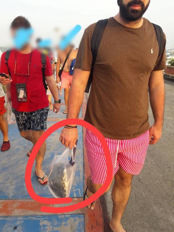 นักท่องเที่ยวมักง่าย หิ้วปลาดาวทะเลสีฟ้า