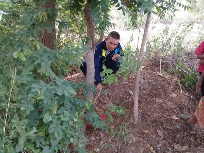 แม่ทิ้งลูก