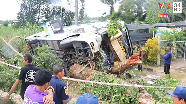 รถบัสชนต้นไม้